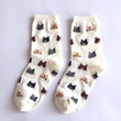 Load image into Gallery viewer, Petlington-Owl Cat Socks
