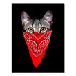 Load image into Gallery viewer, Kitty Wall Art Canvas Painting
