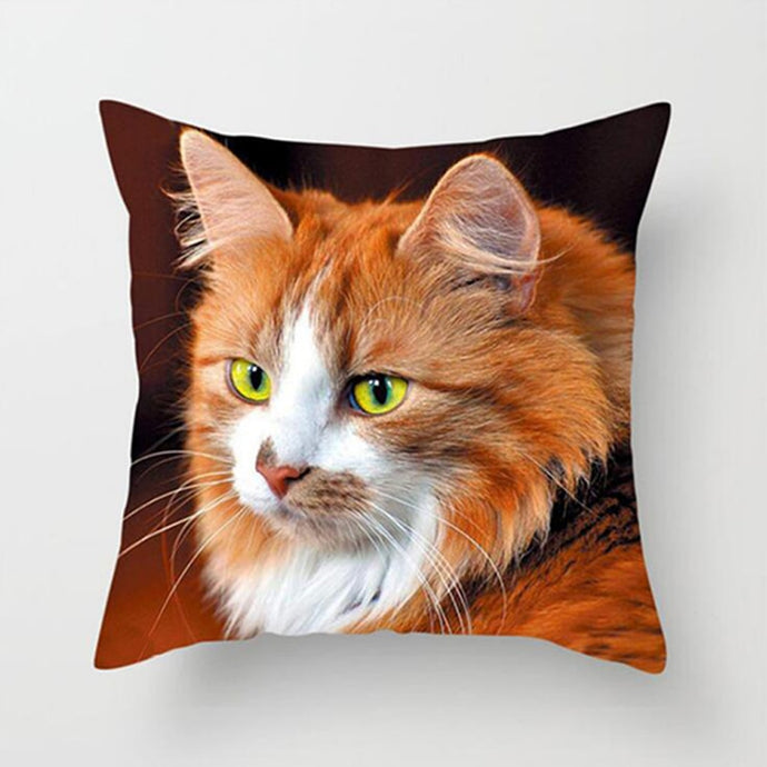 Cat Decorative Cushion Cover