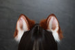 Load image into Gallery viewer, Handcrafted Mystical Jungle Fur Ears

