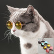Load image into Gallery viewer, Cat Eye Wear
