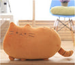 Load image into Gallery viewer, Smiley Face Biscuit Cat
