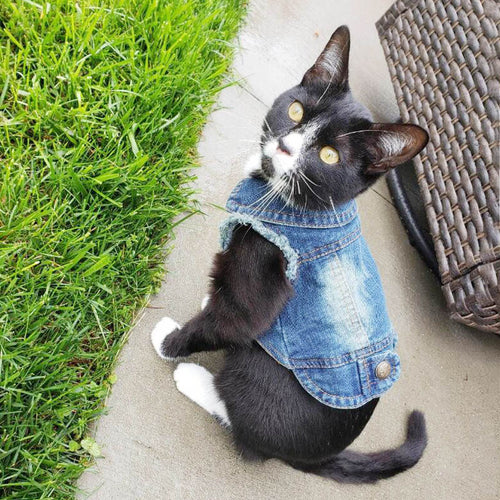 Petlington-Cat Vest Jacket