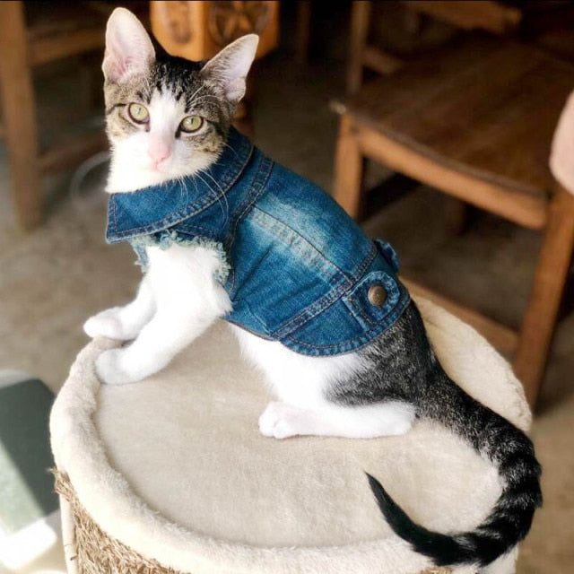 Petlington-Cat Vest Jacket