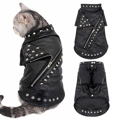 Petlington-Leather Cat Jacket
