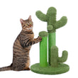 Load image into Gallery viewer, Petlington-Cat Cactus Scratcher
