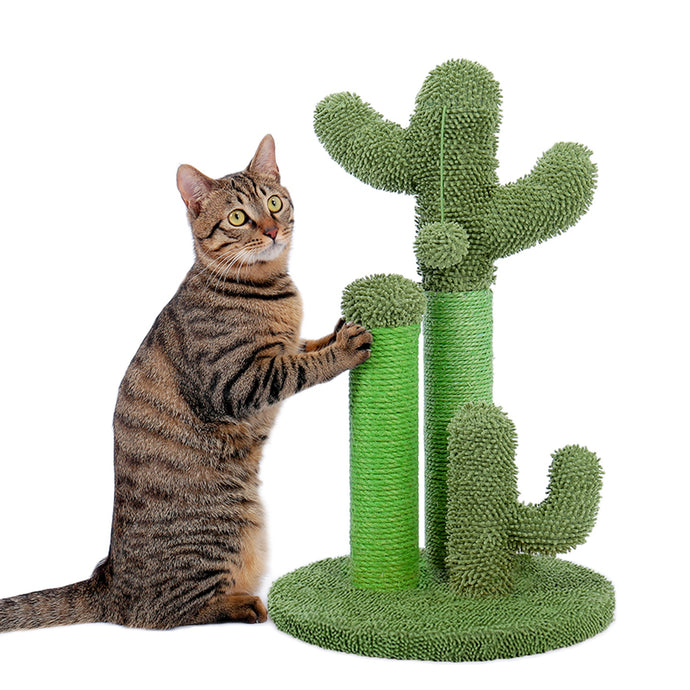 Petlington-Cat Cactus Scratcher