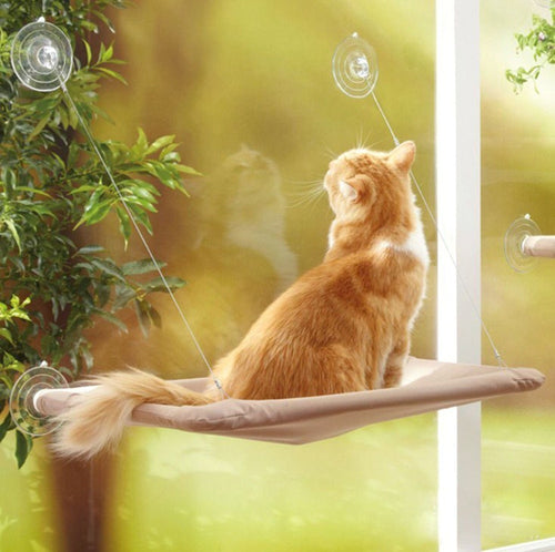 Petlington-Cute Cat Hanging Window Bed
