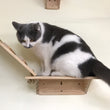Load image into Gallery viewer, Petlington-Cat DIY Wooden Jumping Platform
