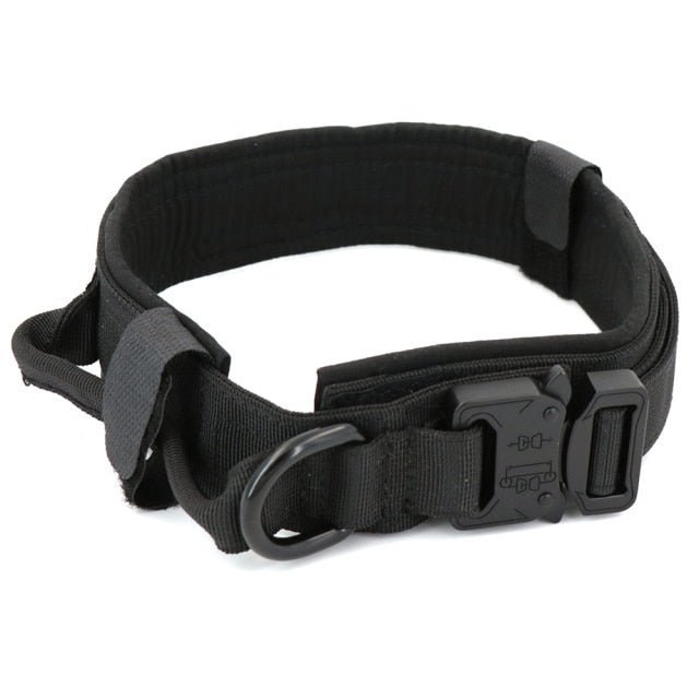 Petlington-Dog Collar and Leash