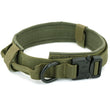 Load image into Gallery viewer, Petlington-Dog Collar and Leash
