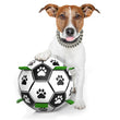 Load image into Gallery viewer, Petlington-Pet Outdoor Training Ball
