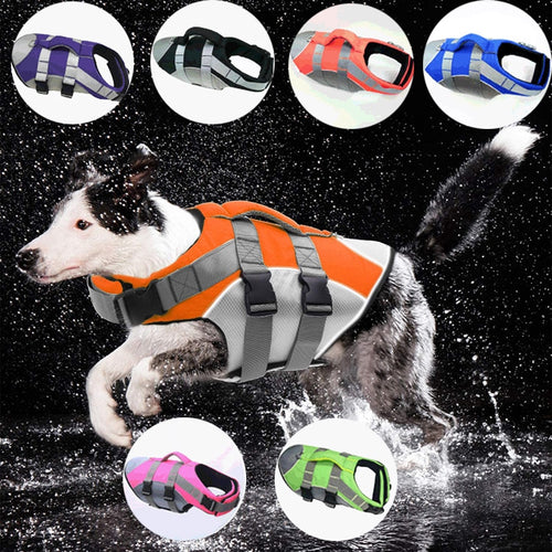 Petlington-Dog Safety Vest