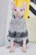 Load image into Gallery viewer, Petlington-Sphynx Sweater
