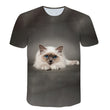 Load image into Gallery viewer, Petlington-3D Cat Print T-shirts
