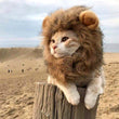 Load image into Gallery viewer, Petlington-Cat Lion Wig
