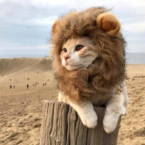 Petlington-Cat Lion Wig