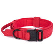 Load image into Gallery viewer, Petlington-Dog Collar and Leash
