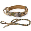 Load image into Gallery viewer, Petlington-Dog Collar and Leash
