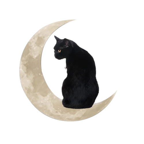 Petlington-Black Cat Hangings Sticker
