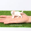 Load image into Gallery viewer, Lovely Siamese Persian Cat Figurines
