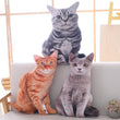 Load image into Gallery viewer, Petlington-Plush Cat Pillows and Decor
